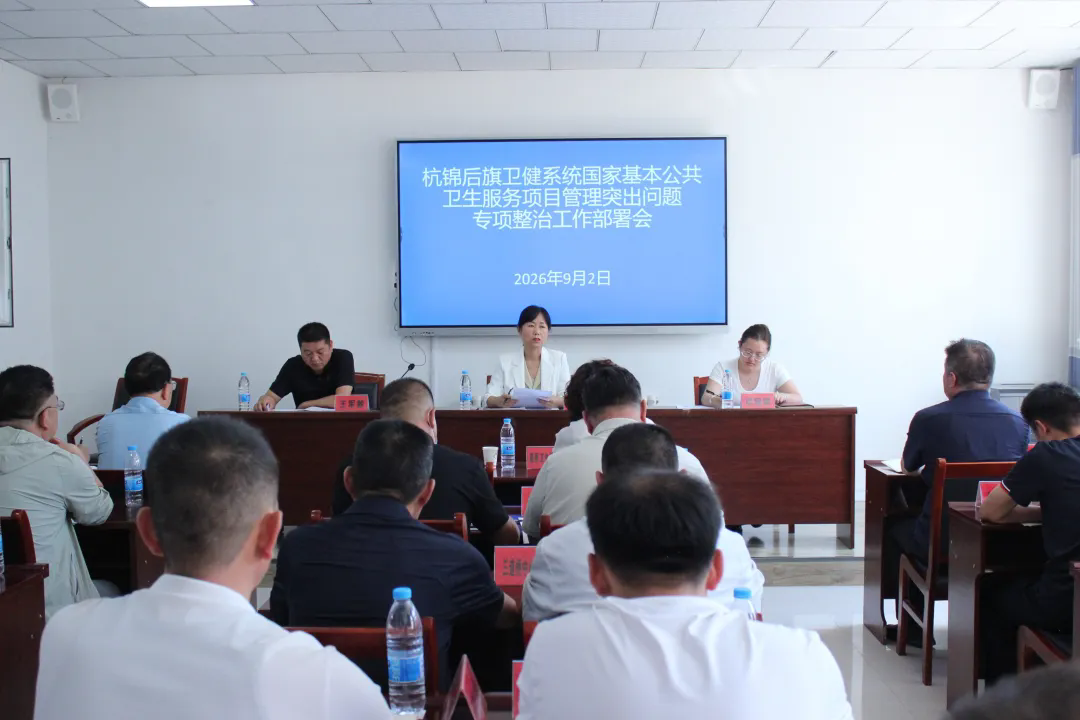 国家基本公共服务项目管理突出问题专项整治.webp.png