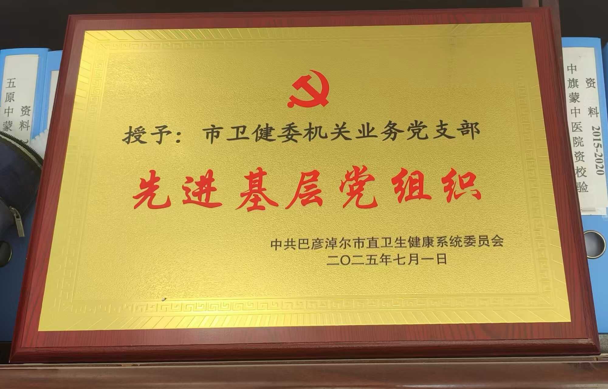 2025年先进基层党组织
