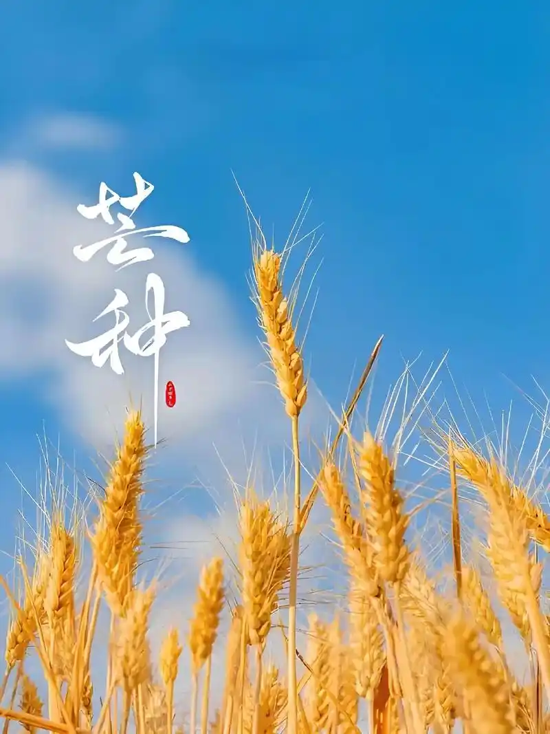 1749135820115036.png